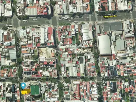 Pergamino 100