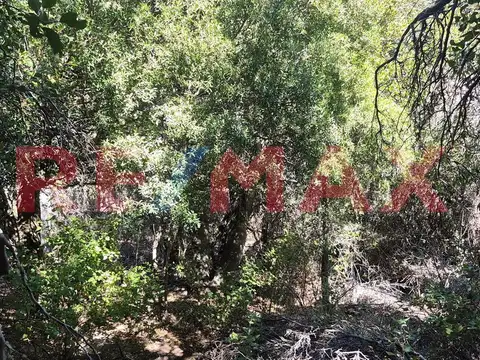 lote en venta a 200 metros del lago Meliquina