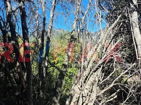 Terreno en Venta de 1238,0 m2