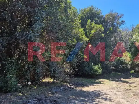 Terreno en Venta en Meliquina, USD 48.000