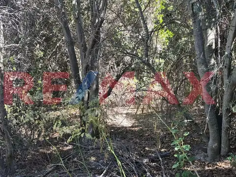 Terreno en Venta de 1238,0 m2