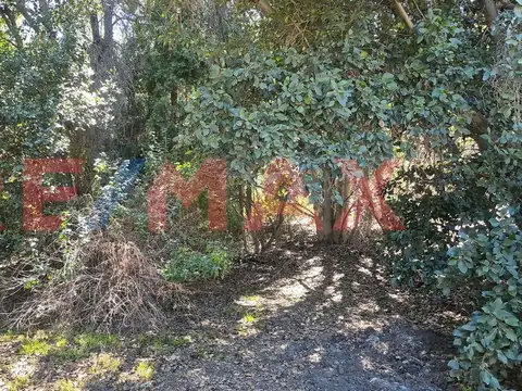 LOTE 91 de la MANZANA XII