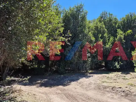 lote en venta a 200 metros del lago Meliquina