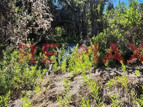 LOTE 91 de la MANZANA XII