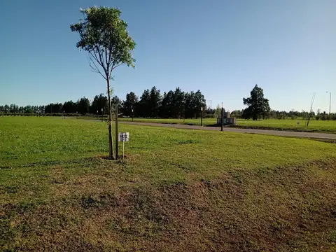 Terreno en Venta 41  mts Fondo