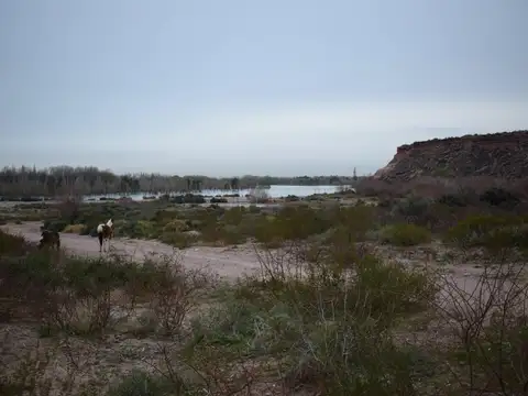 LOTES EN VENTA CUEVA DEL LEON - FERNANDEZ ORO