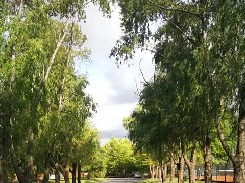 Terreno en Venta 60  mts Fondo