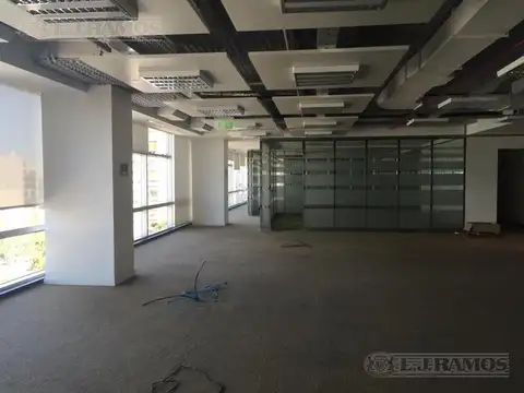 Oficina en Alquiler con 12 cocheras