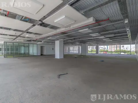 Oficina en Alquiler con 12 cocheras