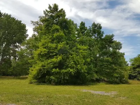 Terreno en Venta de 1500,0 m2