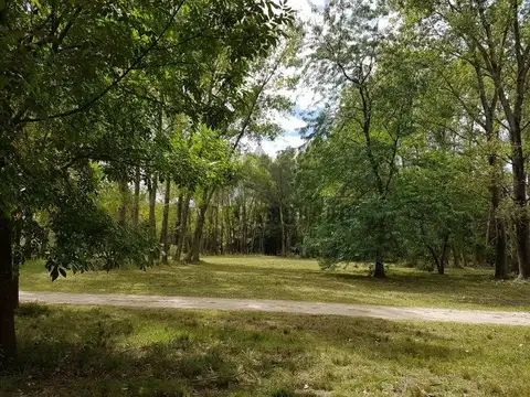 Terreno  en Venta ubicado en El Remanso, Exaltación de la Cruz, G.B.A. Zona Norte