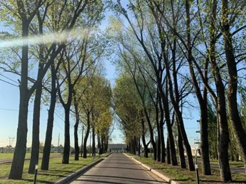 Terreno en Venta de 731,0 m2