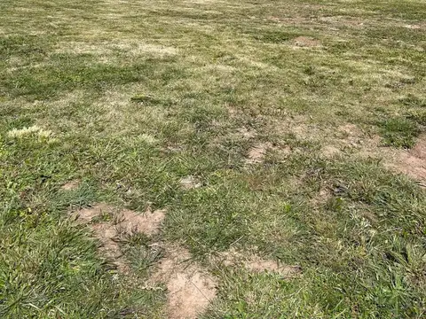 Terreno en Venta de 4138,0 m2