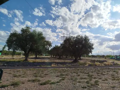 Terreno en Venta en Cruz de Piedra, USD 12.000