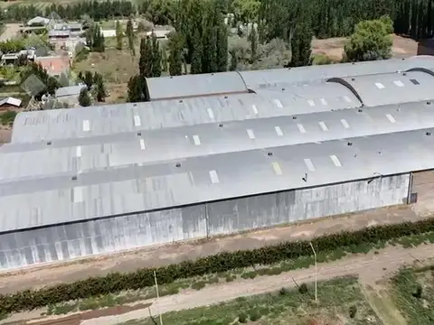 Galpon en Alquiler A Estrenar