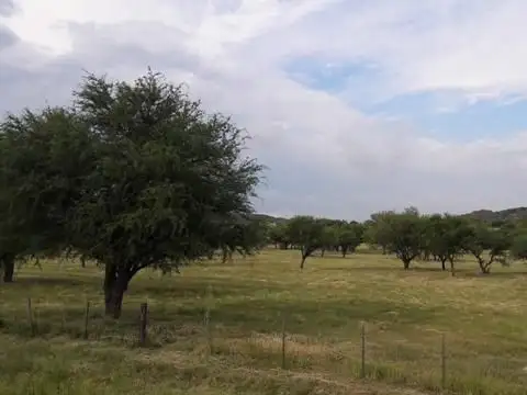 Lote | DIQUE LA ESTRECHURA - El Volcán