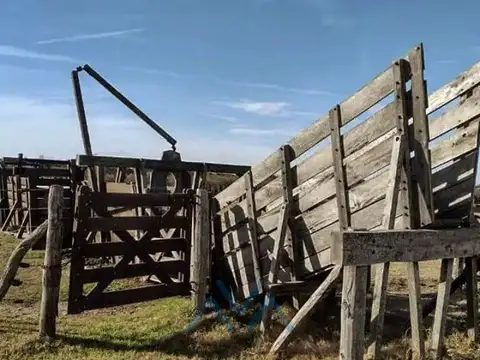 Campo ganadero 1.190 ha en Pacheco de Melo, Córdoba