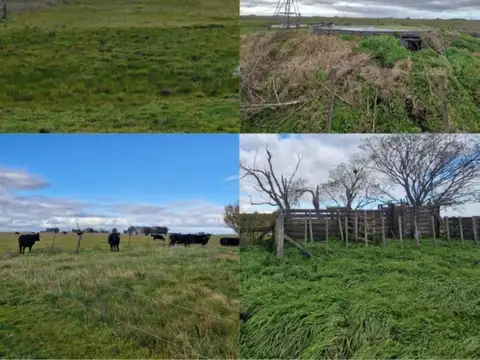 Campo en venta en Azul Oportunidad