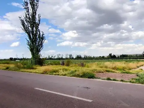 Campo en Venta en Perdriel, Luján de Cuyo