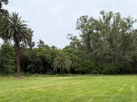 Oportunidad única: Quinta de 2,8 hectáreas en San Carlos, ideal para desarrollos