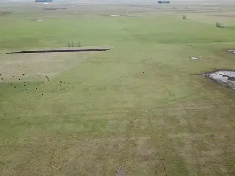 General Guido - Labarden - 355 has