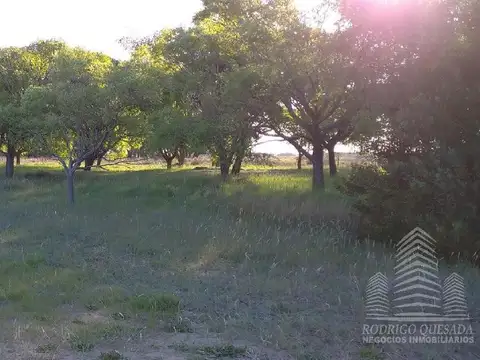 Ruta 11 Km al 300
