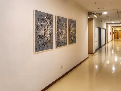 Oficina en Shopping Maschwitz Mall - Centro 