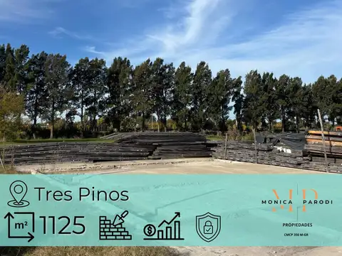 LOTE EN VENTA EN BARRIO TRES PINOS – BARRIO POLO – 1125 M², LISTO PARA CONSTRUIR