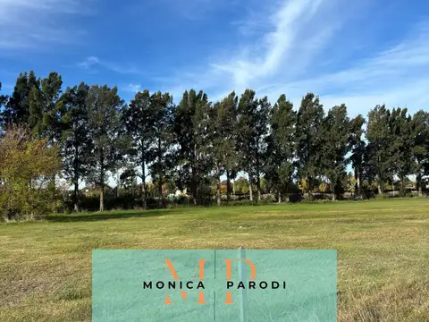 Terreno en Venta de 1125,0 m2