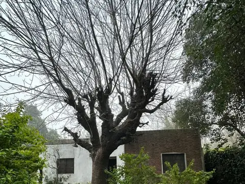 Terreno en Venta de 990,0 m2