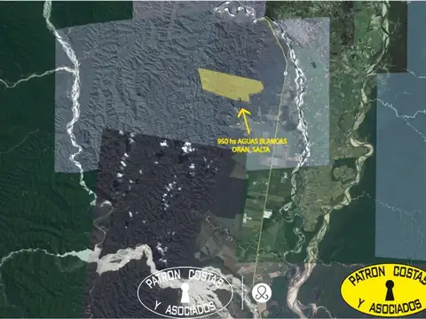 950 HS AGUAS BLANCAS - ORAN - SALTA