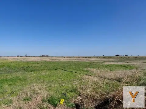 Ruta Nacional 8