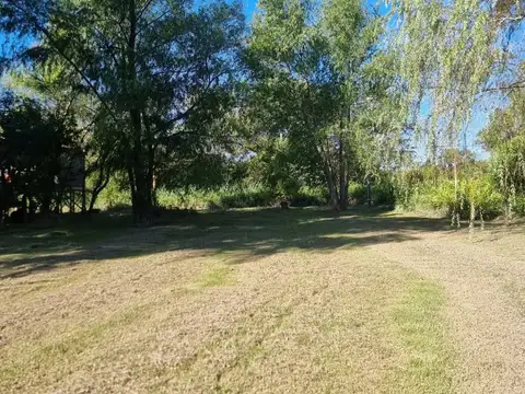 ARROYO SABALO