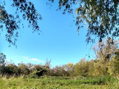 Arroyo las rosas