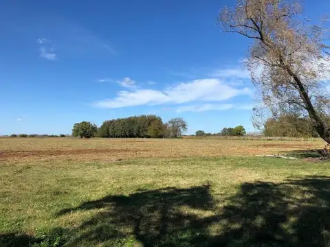 74.60 hectáreas | Campo | Camino del Chorizo