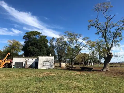 San Antonio de Areco - 74.60 has | Campo | Camino del Chorizo