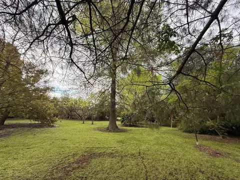 Terreno Lote  en Venta en El Remanso, Exaltación de la Cruz, G.B.A. Zona Norte