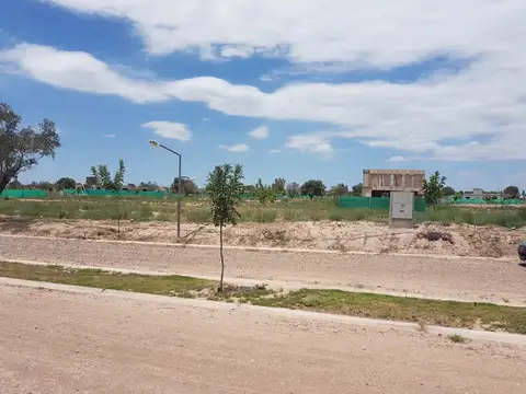 LOTE CENTRAL OLIVOS DEL TORREON 462M2