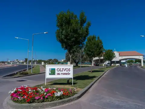 LOTE CENTRAL OLIVOS DEL TORREON 462M2