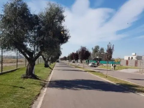 Terreno en Venta de 450,0 m2