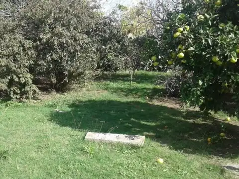 Terreno en Venta 9,64  mts Frente