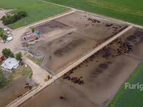 Zona Rural a 1.200 Metros de Ruta 14
