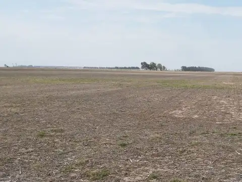 Se venden 14 ha agrícolas en Chovet - Santa Fe