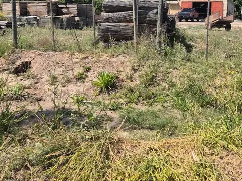 VENTA CAMPO PRODUCTIVO - RIVADAVIA -MENDOZA