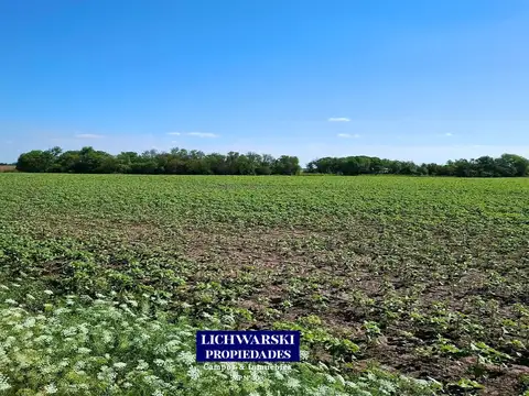 Campo en Venta Agrícola