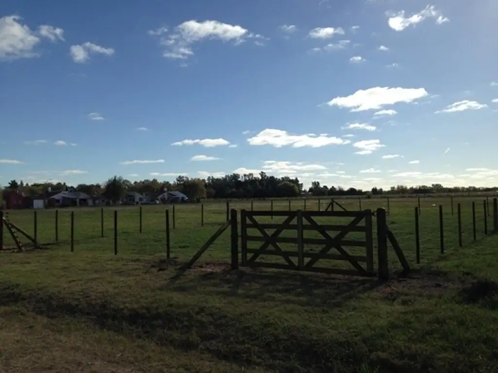 Antartida Argentina 800