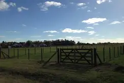 Antartida Argentina 800