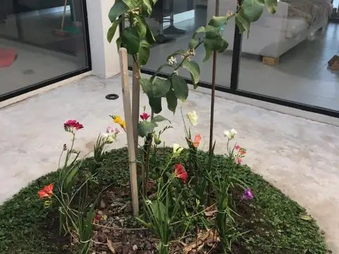 Casa 3 ambientes con 2 baños