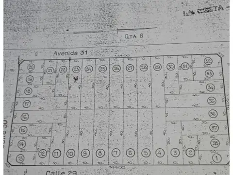 Avenida 31 , Piso 0
