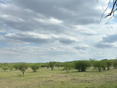 LA GRANJA, LOS MOLLES CALLE LOS ALGARROBOS